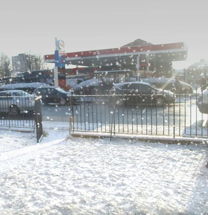 snow 2.webp