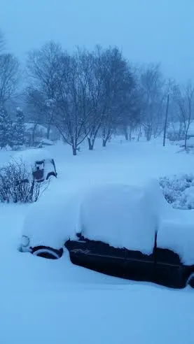snow today.webp