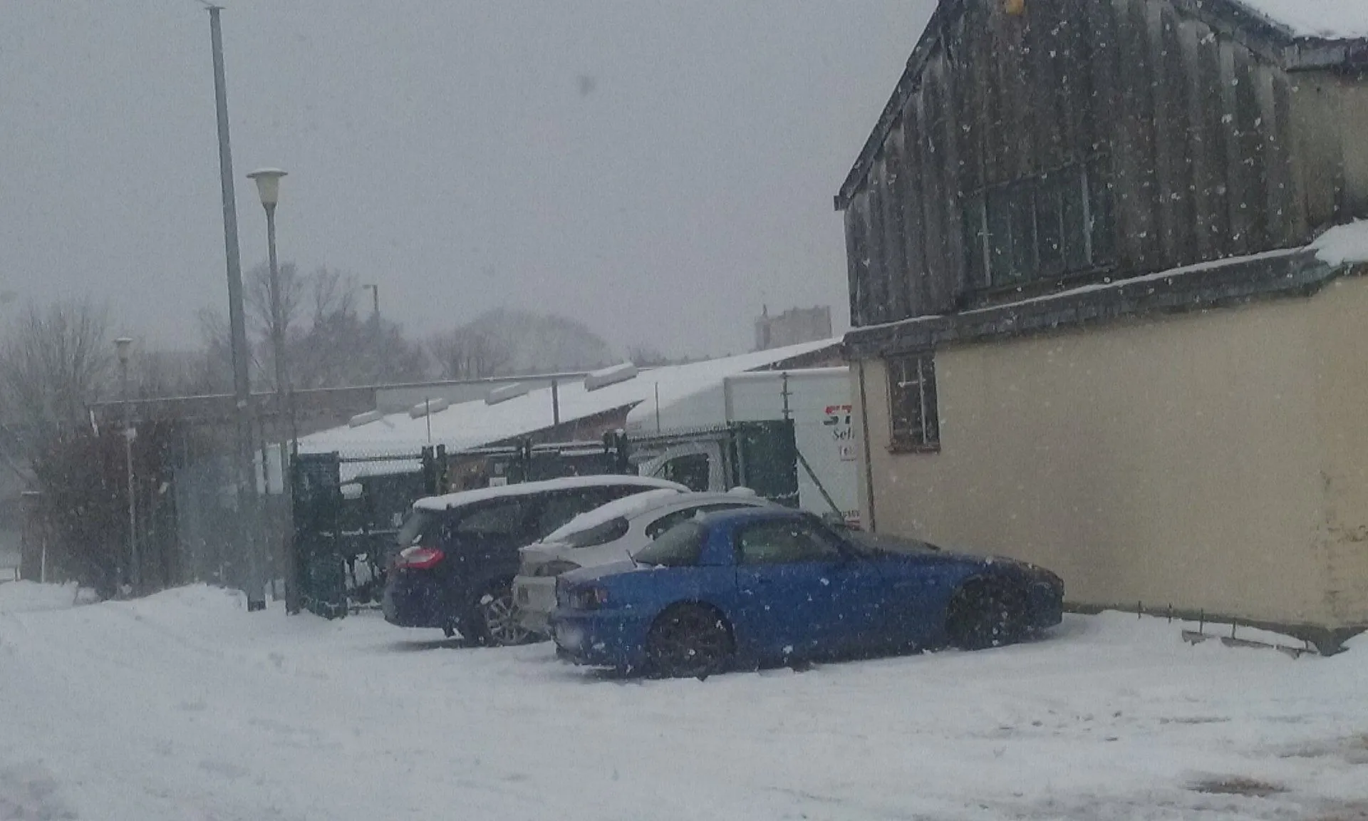 snow.webp