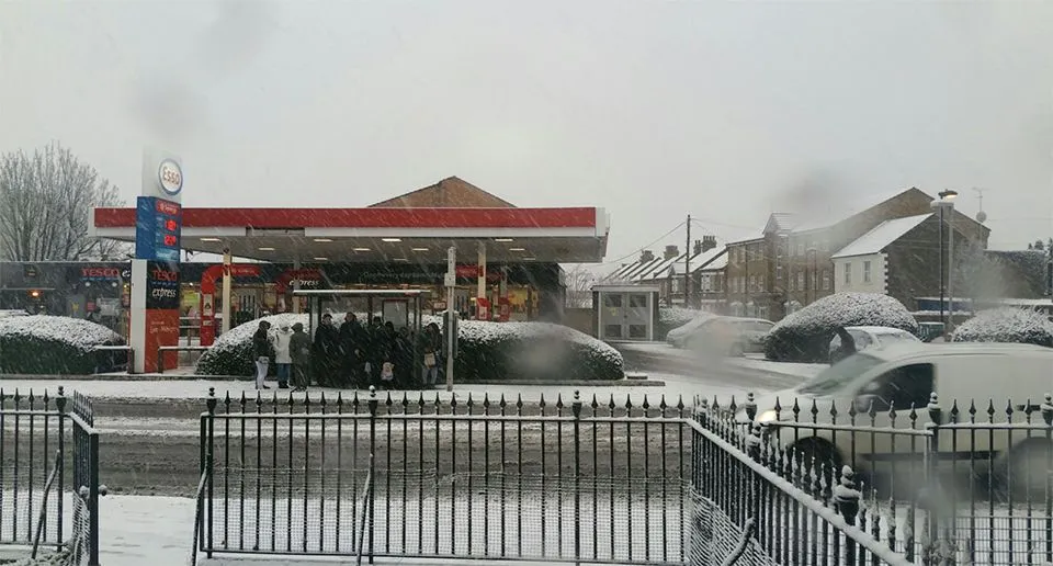 snowing gg.webp
