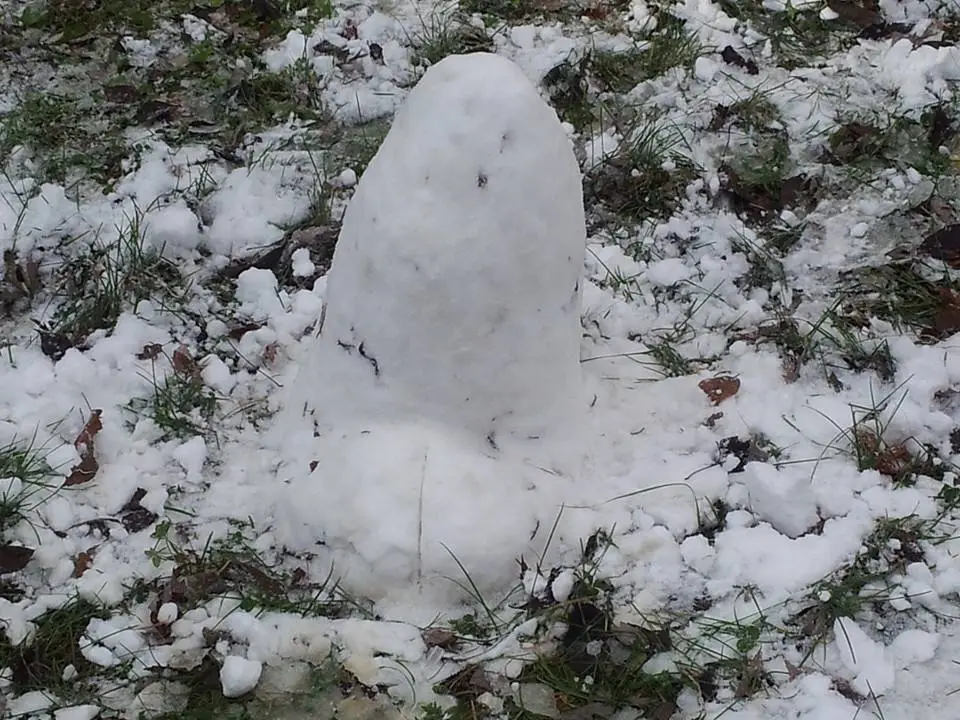SNOWPENIS.webp