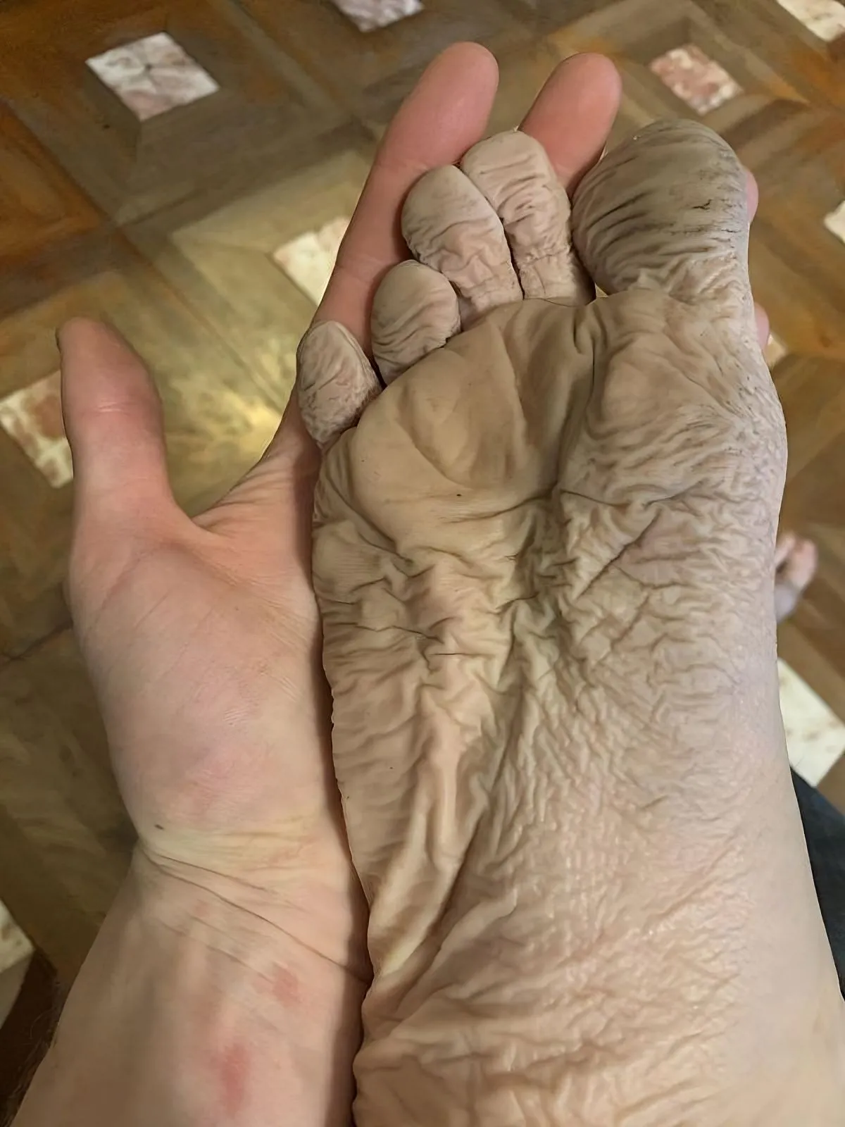 sock.webp