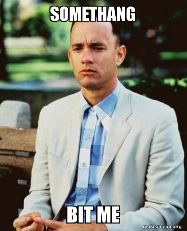 somethang-bit-me.webp