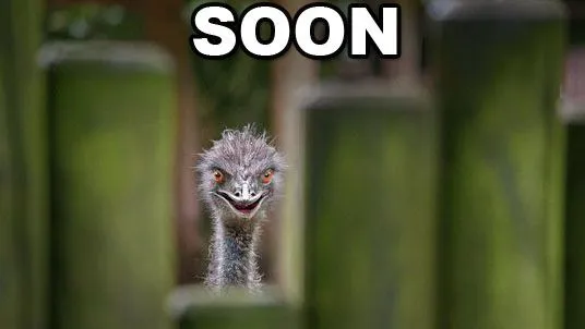 sooon.webp