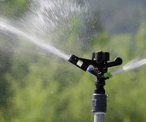 sprinkler.webp