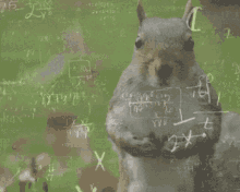 squirrel-brain.gif