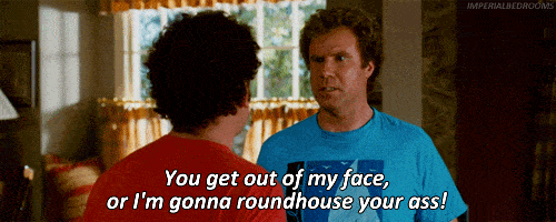 step-brothers-will-ferrell.gif