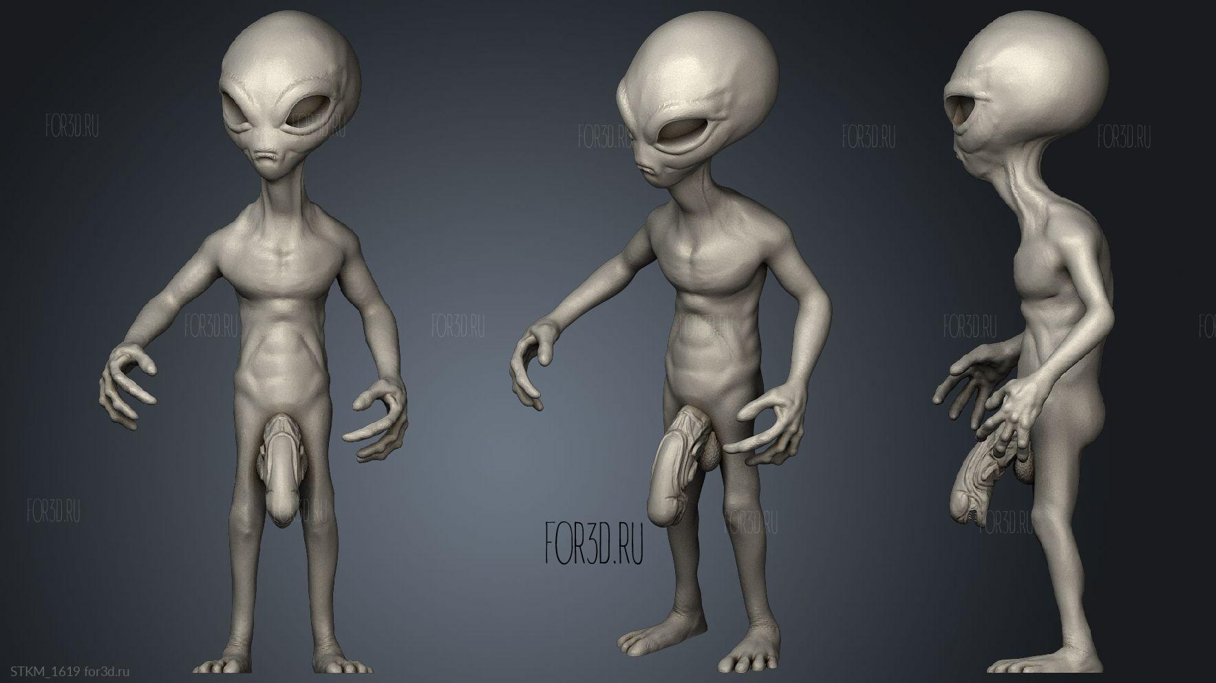 STKM_1619_for3d.ru.webp