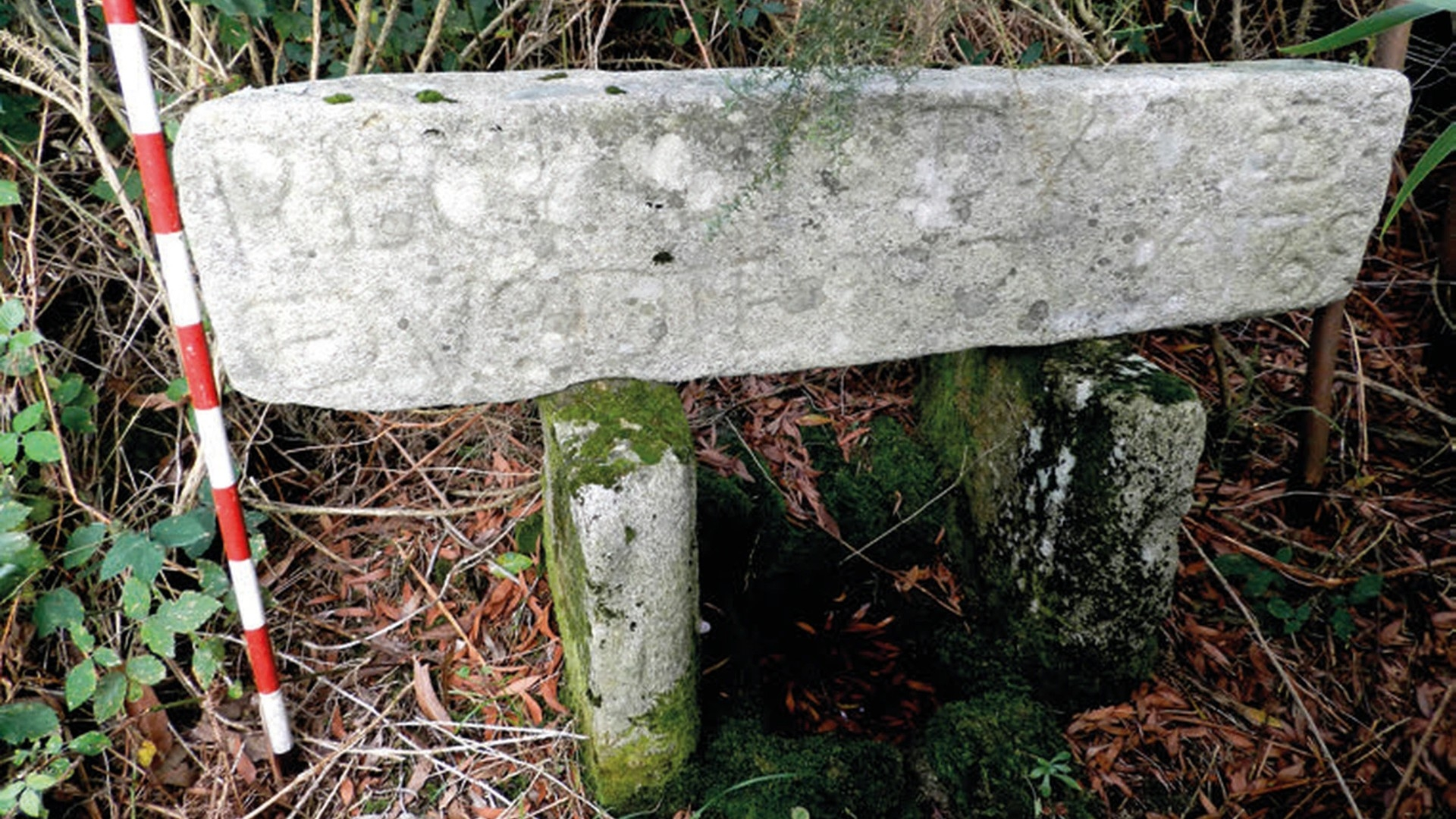 stone.jpg