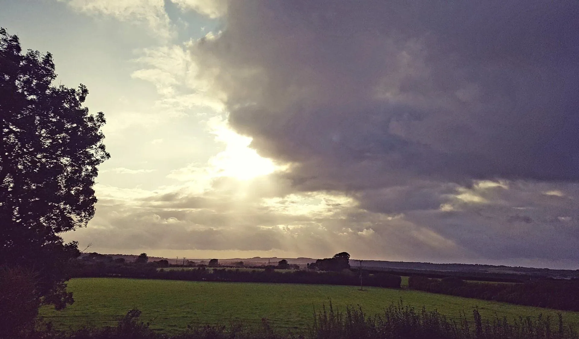 storm.webp
