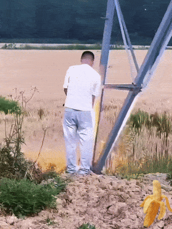strommast angepisst.gif