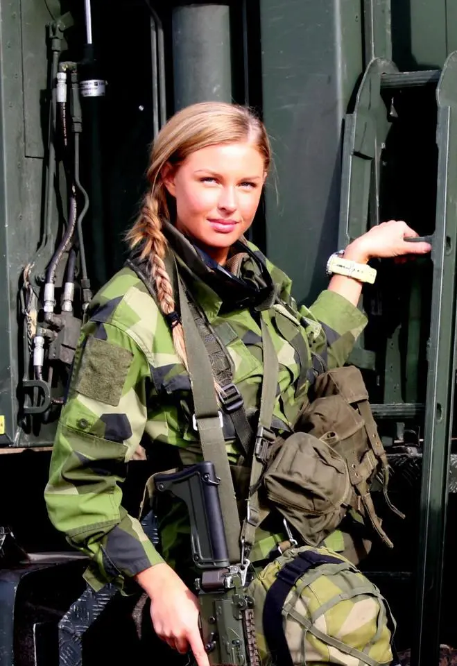 Swedish AK-5.webp