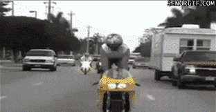 Sweet-Trick-Douchebag.gif