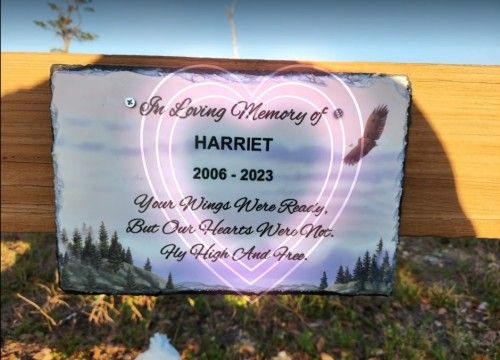 SWF   new sign--Harriet   4-23.jpg