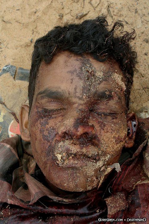 tamil-fighters-killed-by-srilankan-troops16-Korattanam-India-2009.jpg