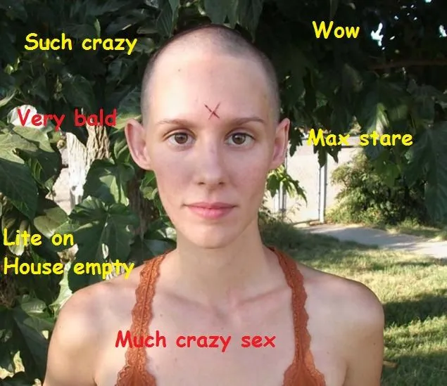 tard.webp