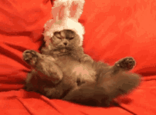 tenor (19).gif