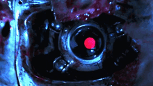 terminator.gif