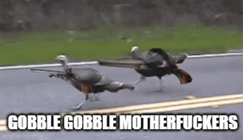 thanksgiving-turkey.gif