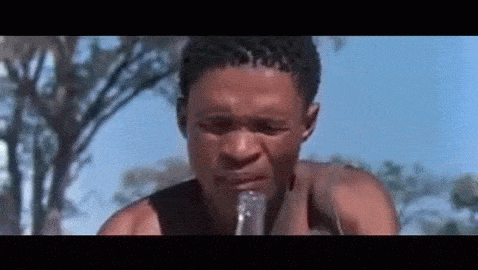 the gods must be crazy 2.gif