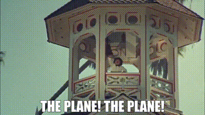 the plane.webp