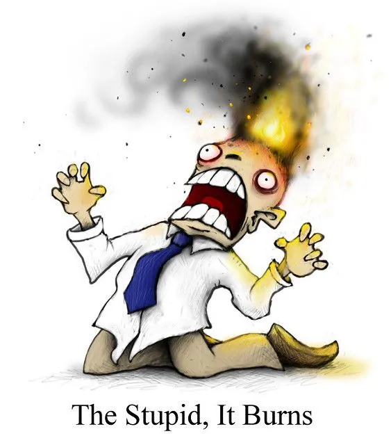The stupid - it burns.webp