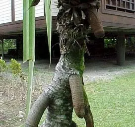 they_grow_on_trees.jpg-1.webp