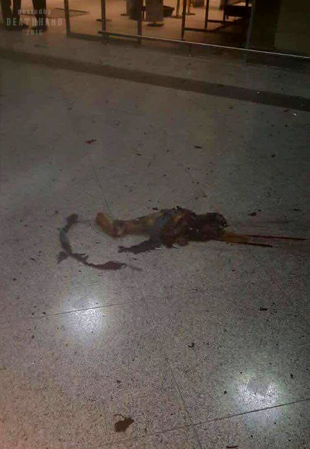 three-isis-suicide-bombers-attack-ataturk-airport-39-Istanbul-TU-jun-28-16.jpg