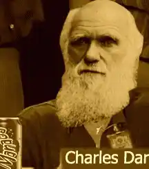 thumbs-up-charles-darwin.webp