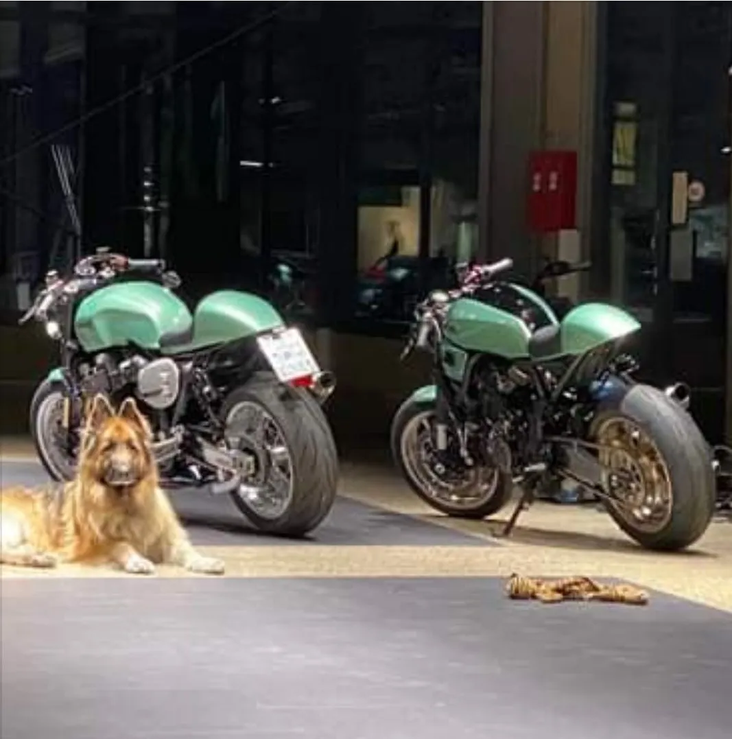 tmp_17160-Screenshot_20191222-140946_Firefox328396717311402445.webp