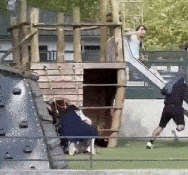 toboggan.gif