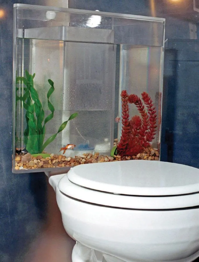 TOILET-BOWL-700x920.webp