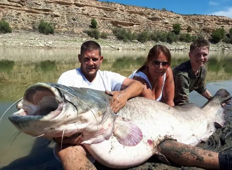 Total-Fishing_20-ebro-catifsh-751x550.webp