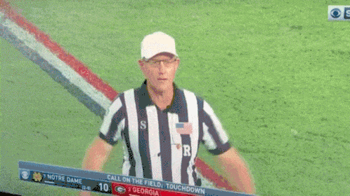 touchdown-referee.gif