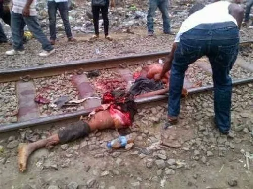 trainmeat.webp