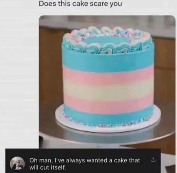 trannycake.webp