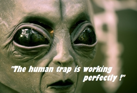 trap2.webp