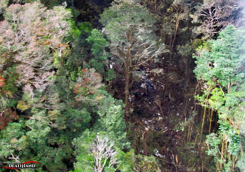 trigana-air-services-atr42-300-twin-turboprop-plane-crash-3-Papua-ID-aug-16-15.webp
