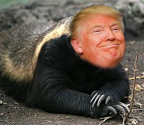 trumhoneybadter.webp