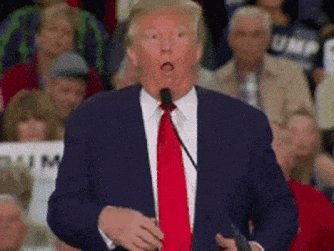 trump-dance-icegif.gif