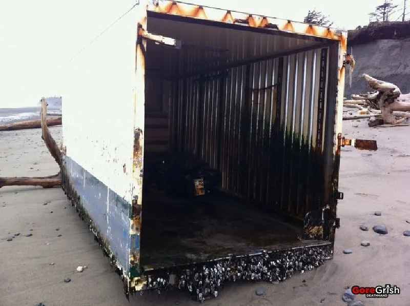 tsunami-harley-in-shipping-container.webp