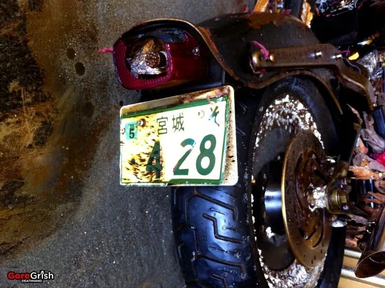 tsunami-harley-lisence-plate.webp