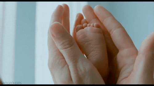 tumblr_1501831008ce8a354955de61581b7e8d_beadb402_500.gif