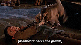 tumblr_inline_ojf6y0dwtJ1qgpnbi_400.gif