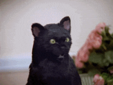 Tumblr_l_795214986373417.gif