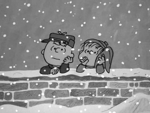 tumblr_lw59qlakvC1qcerkco1_500.gif