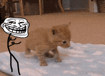 tumblr_mggaci4yzx1s2gg27o1_400.gif