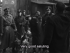 tumblr_ms9dbht50j1r5s47zo4_250.gif