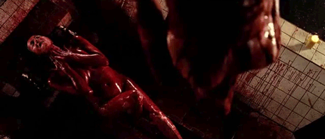 tumblr_mwrdlvveVy1rvz0b8o8_500.gif