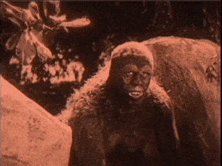 tumblr_p24357ZtiN1tfi2fdo1_400.gif
